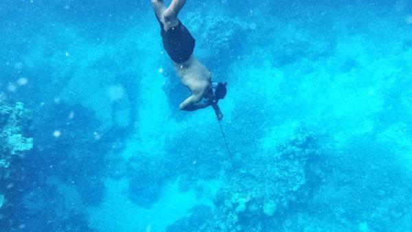 Nanuya Lailai Bay Of Plenty Nature Lodge מראה חיצוני תמונה
