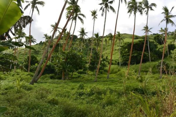 Nanuya Lailai Bay Of Plenty Nature Lodge מראה חיצוני תמונה