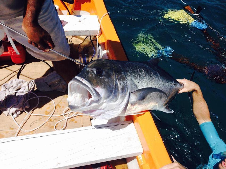 Nanuya Lailai Bay Of Plenty Nature Lodge מראה חיצוני תמונה