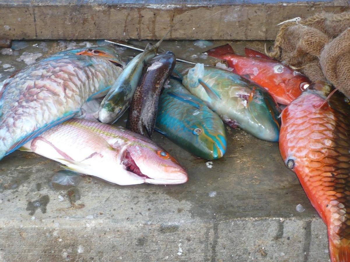 Nanuya Lailai Bay Of Plenty Nature Lodge מראה חיצוני תמונה